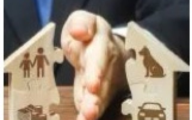 行政复议典型案例｜李某不服市人民政府信息公开答复申请行政复议案